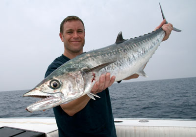 Tarpon photo by David Brown