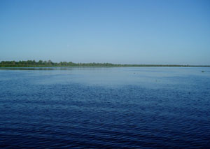 The smooth water is topped out grasses.