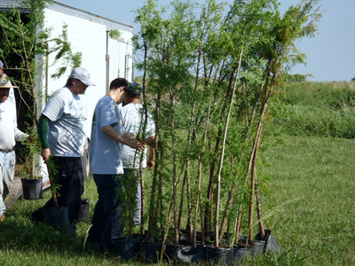 Tree planting at Fellsmere Reservoir