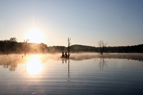 Bassmaster Elite Series Pro Tim Horton