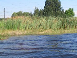 John's Lake shoreline