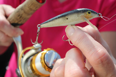 Rapala Countdown