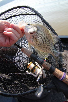 Crappie fishing with Wave Spin Reels