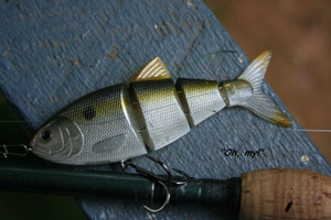 Spro BBZ-1 4" Shad