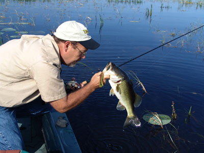 Locating bass in lily pads