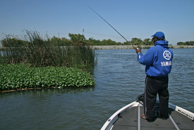 Vast habitat, bountiful forage and lots of fish