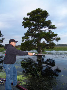 Fishing on the Kissimmee Chain of Lakes