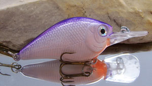 Custom Painted Crank Bait