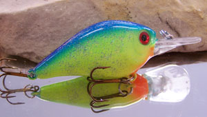 Custom Painted Crank Bait