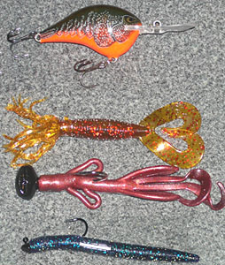 Bait arsenal for fishing around rocks