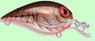 Crankbait