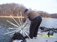 Porcupine Fish Attractor Placement